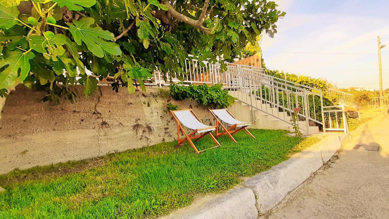 Mediterranean House - Forest Marjan 斯普利特 外观 照片