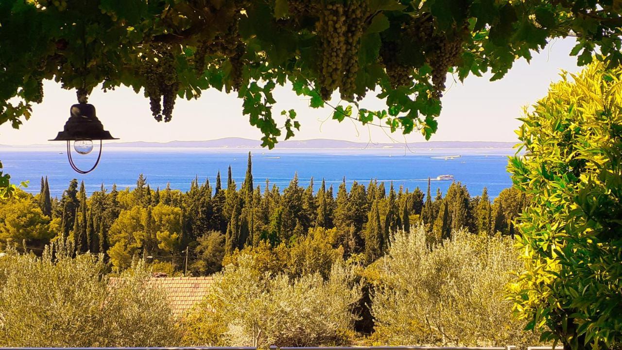 Mediterranean House - Forest Marjan 斯普利特 外观 照片